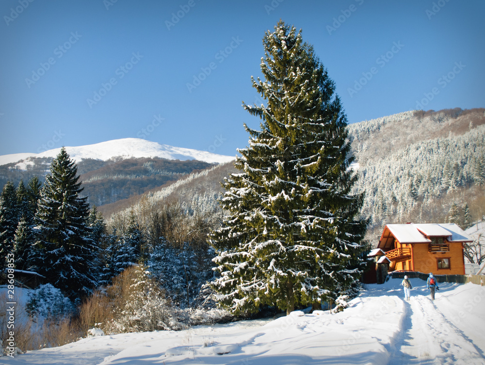 Fototapeta premium Winter house in fir-tree forest