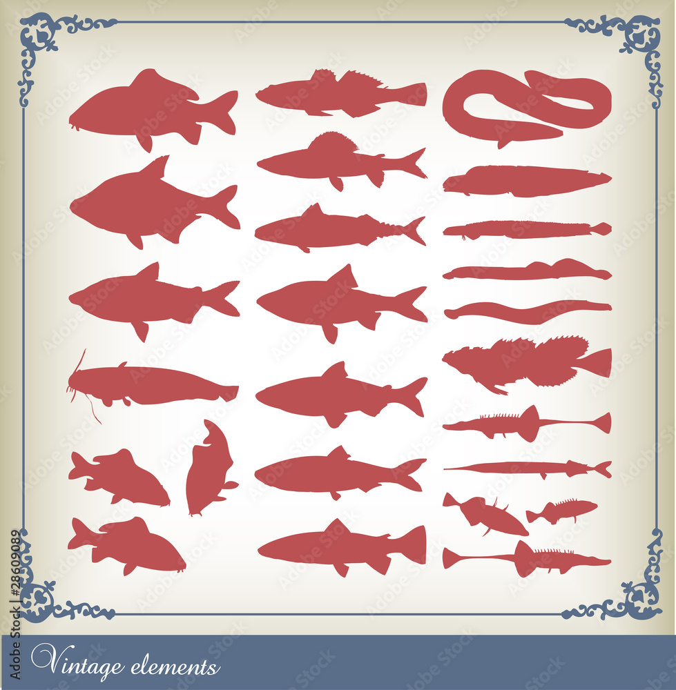 Vector set of fishes Vector set of fishes