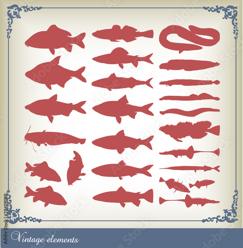 Vector set of fishes