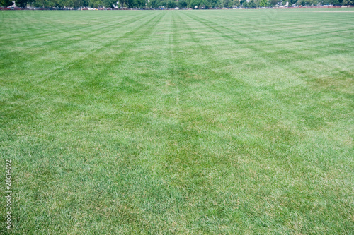 Wide Angle Lawn With Criss-Cross Mowing Marks