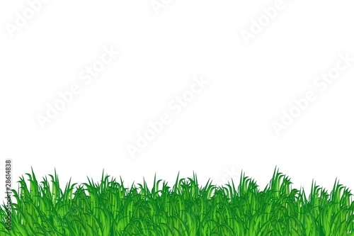 Ostergras