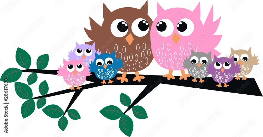 owl family owl family