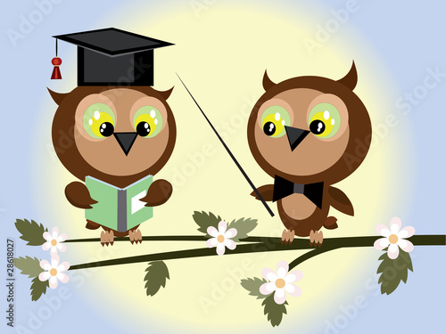 Two owls at the branch of tree