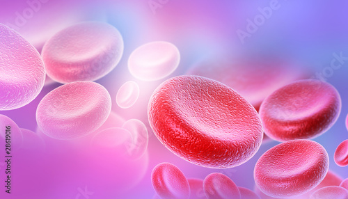 Photos blood cells