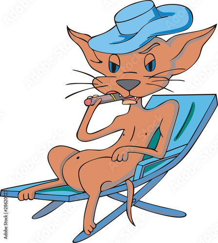 Foto Cat smooking a cigar