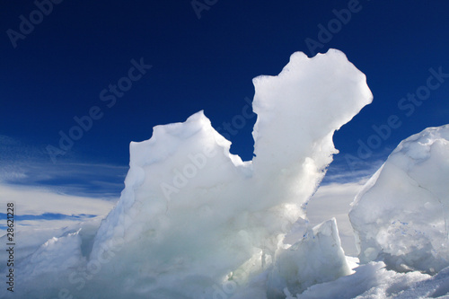 Icy Camel