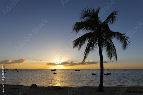 Fototapeta Naklejka Na Ścianę i Meble -  Coucher de soleil sur les récifs coralliens dans les Caraïbes