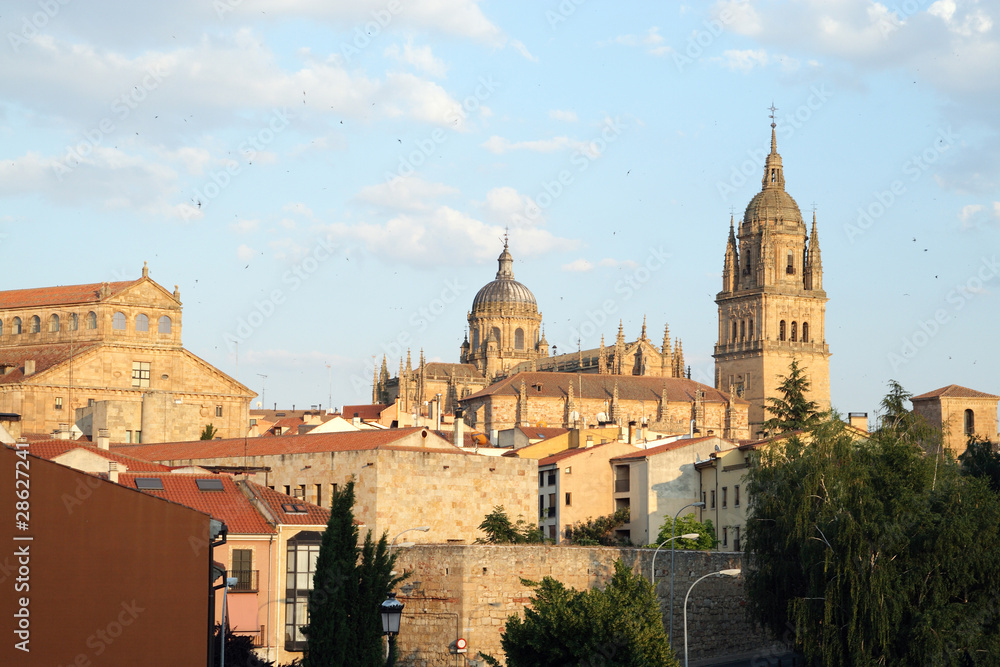 Salamanca Skyline