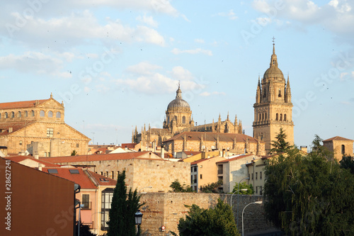 Salamanca Skyline © Jennifer Elizabeth