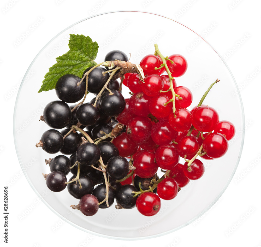 Blackcurrant and redcurrant in glass bowl Blackcurrant and redcurrant in glass bowl