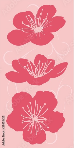 floral decor