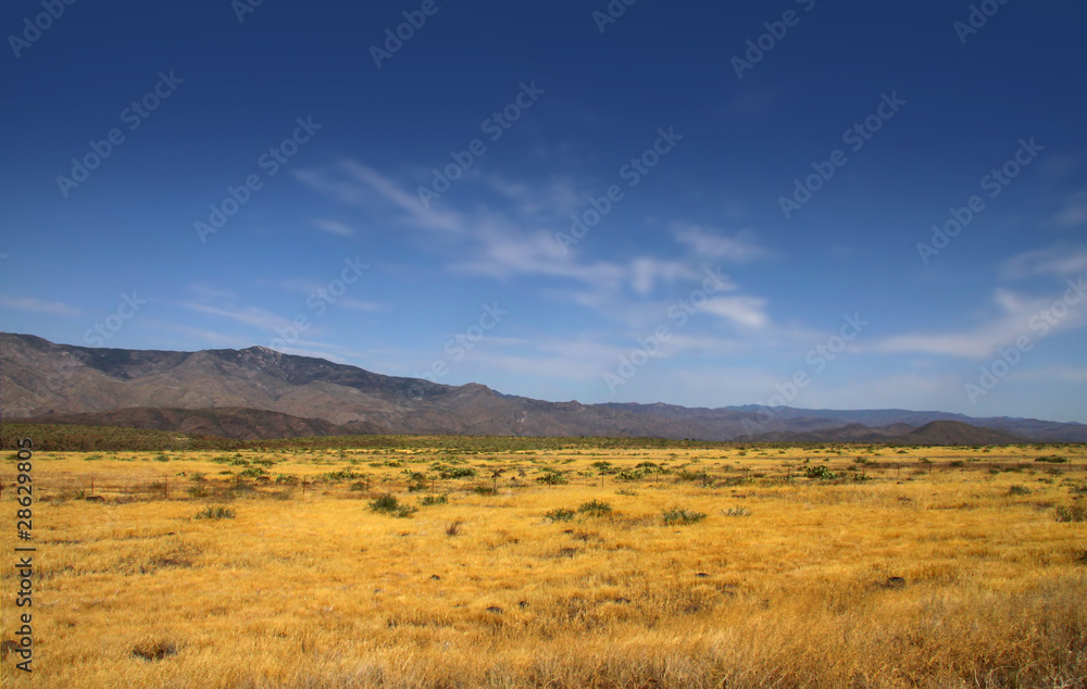 Blue sky and Prairie landscape in Arizona