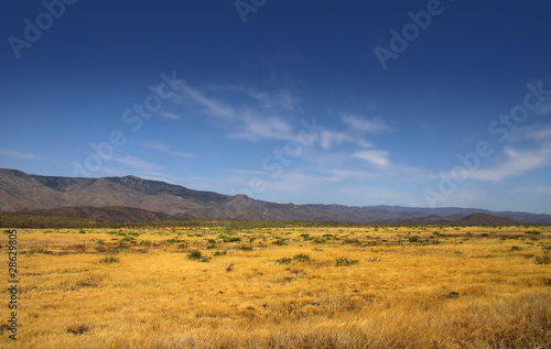 Blue sky and Prairie landscape in Arizona