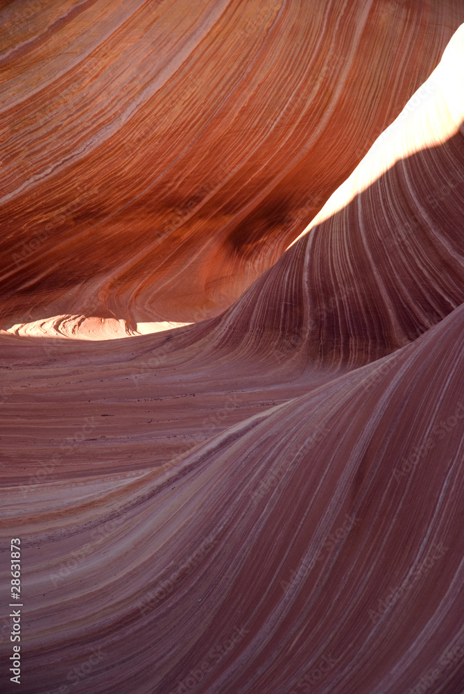 Obraz premium The Wave, Paria Canyon. Arizona