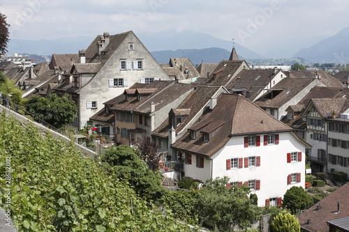 Houses and Vines, Rapperswil