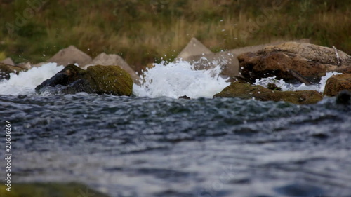 Wallpaper Mural Water and stone on small river Torontodigital.ca