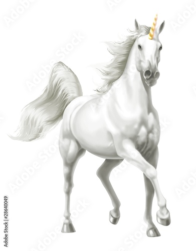 unicorno photo