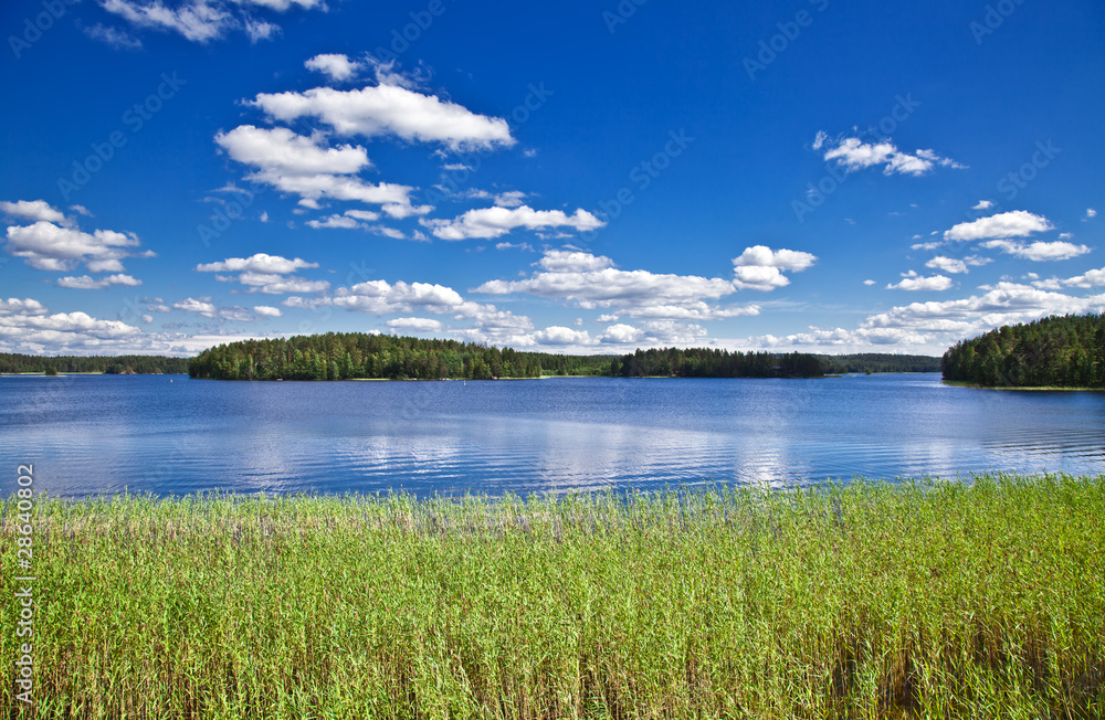 Beautiful summer landscape. Lake, wood and the blue sky