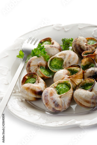 bourguignonne snail- lumache alla bourguignonne