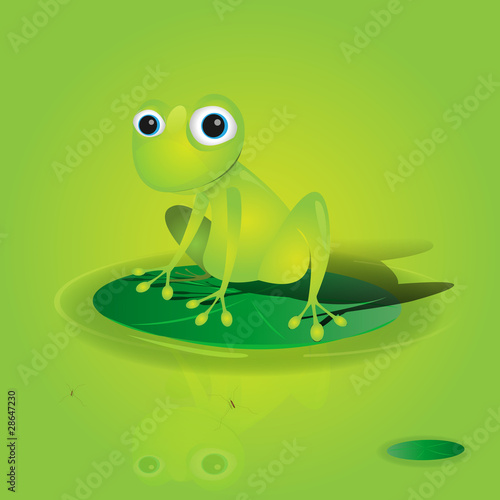 Frog with zen atttitude