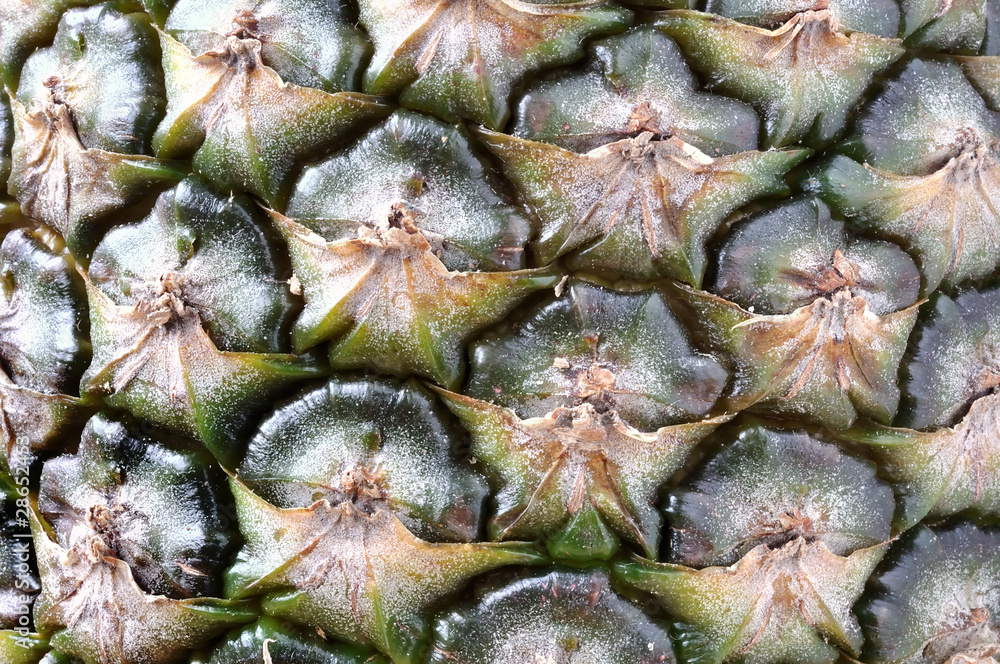 Ananas Ananas
