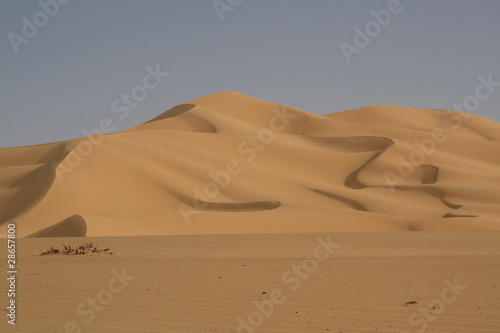 Dans les dunes de Tittersine