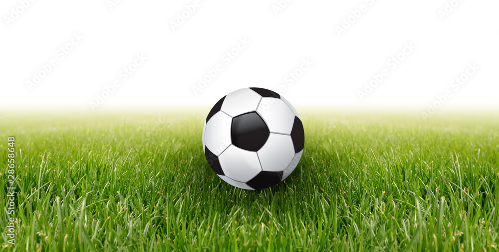 Fototapeta premium soccer ball and green grass