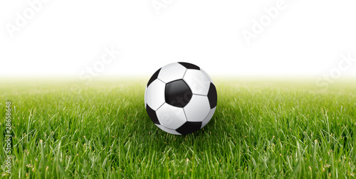 soccer ball and green grass