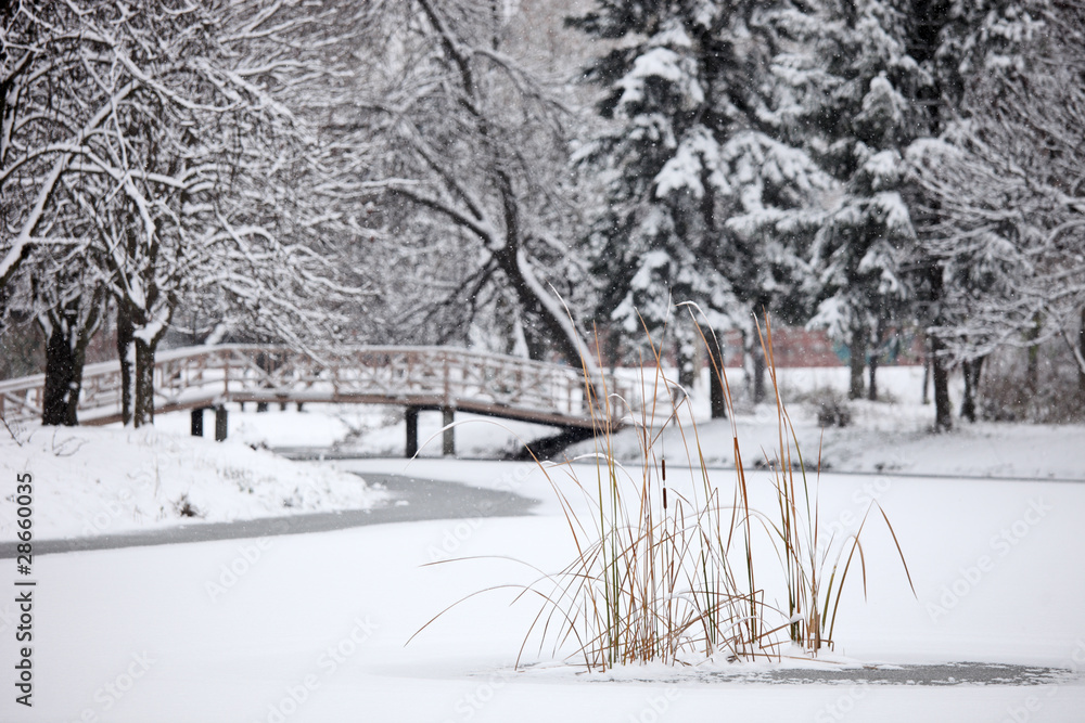 Winter scene from the frozen lake in city park Skopje, Macedonia