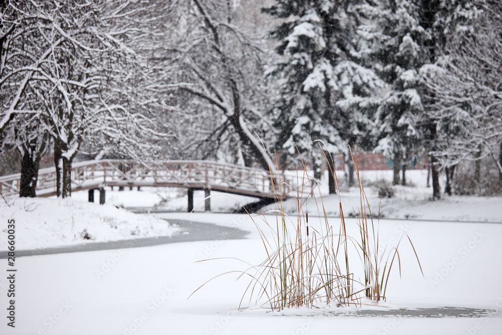 Φωτογραφία Winter scene from the frozen lake in city park Skopje, Macedonia