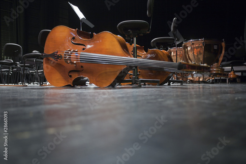 Contrebasses