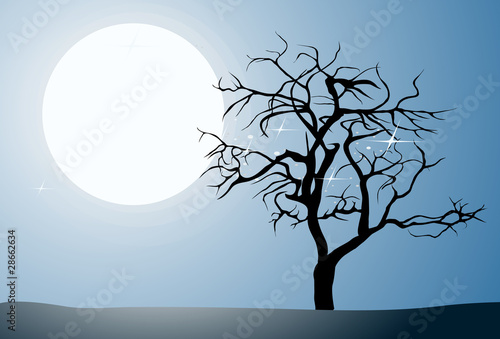 Tree in the full moon and blue night © archipoch