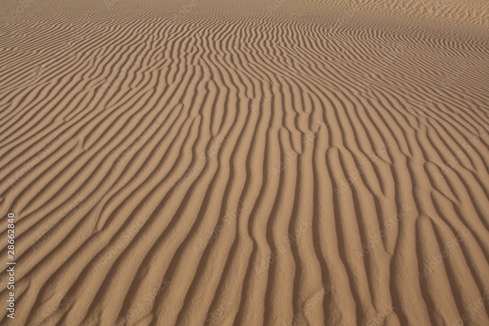Dunes dans le sud libyen Dunes dans le sud libyen