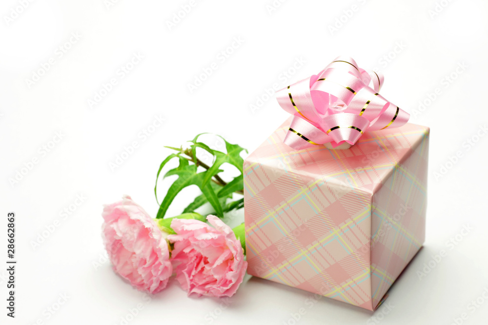 carnation and present carnation and present