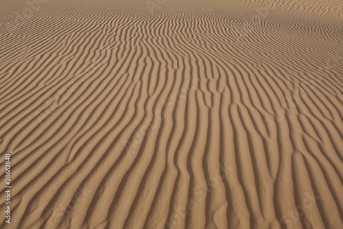 Dunes dans le sud libyen