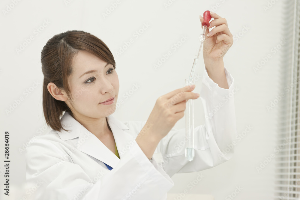 研究をする若い女性 研究をする若い女性