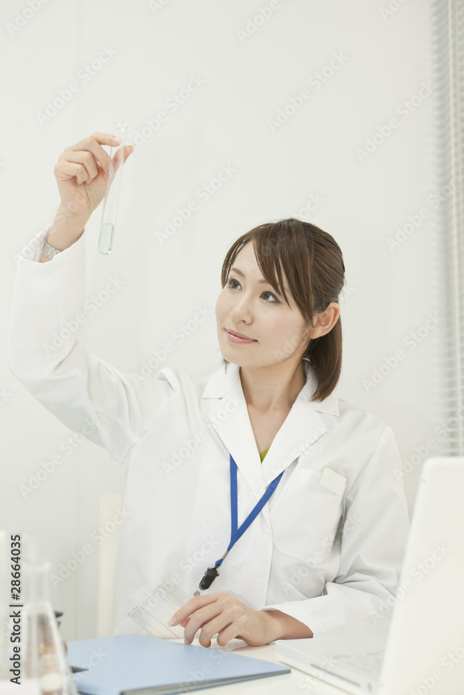 研究をする若い女性 研究をする若い女性