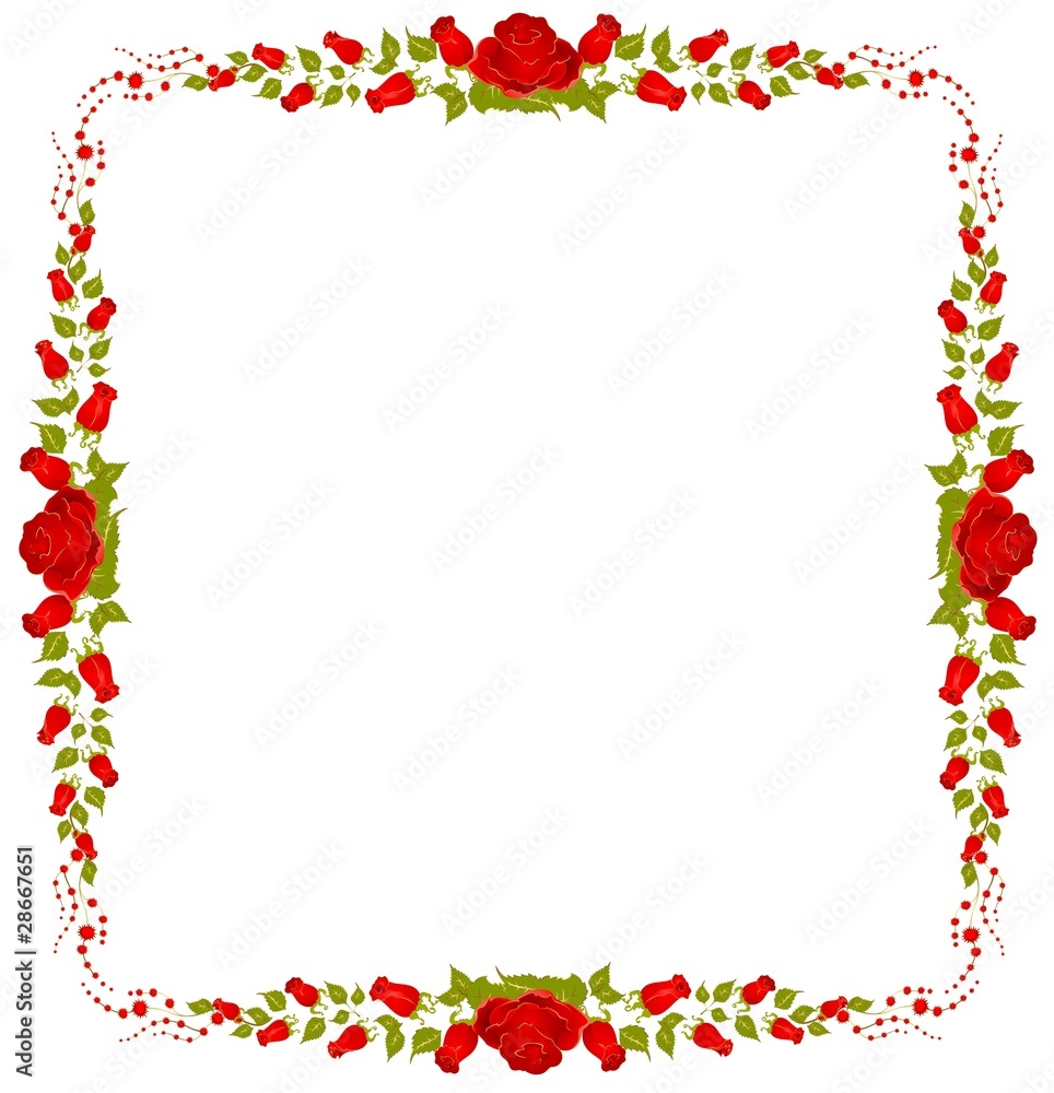 beautiful frame from roses beautiful frame from roses