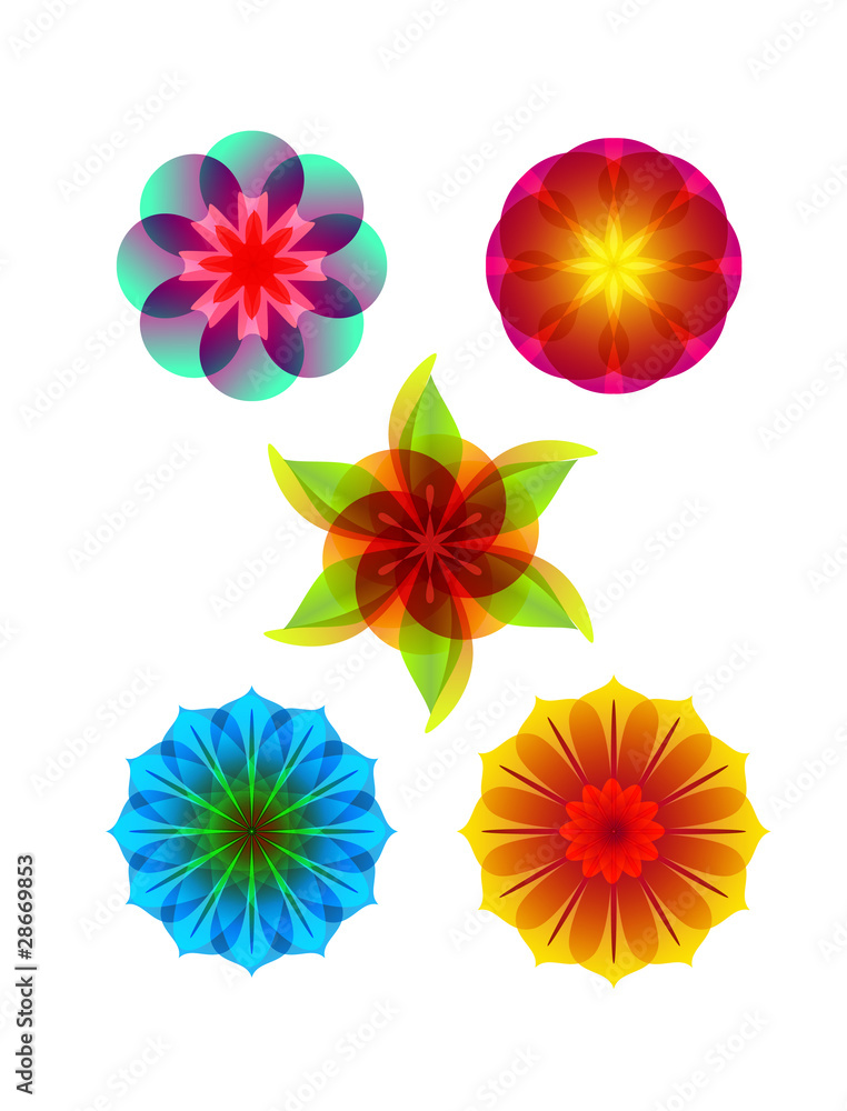 colorful flowers colorful flowers
