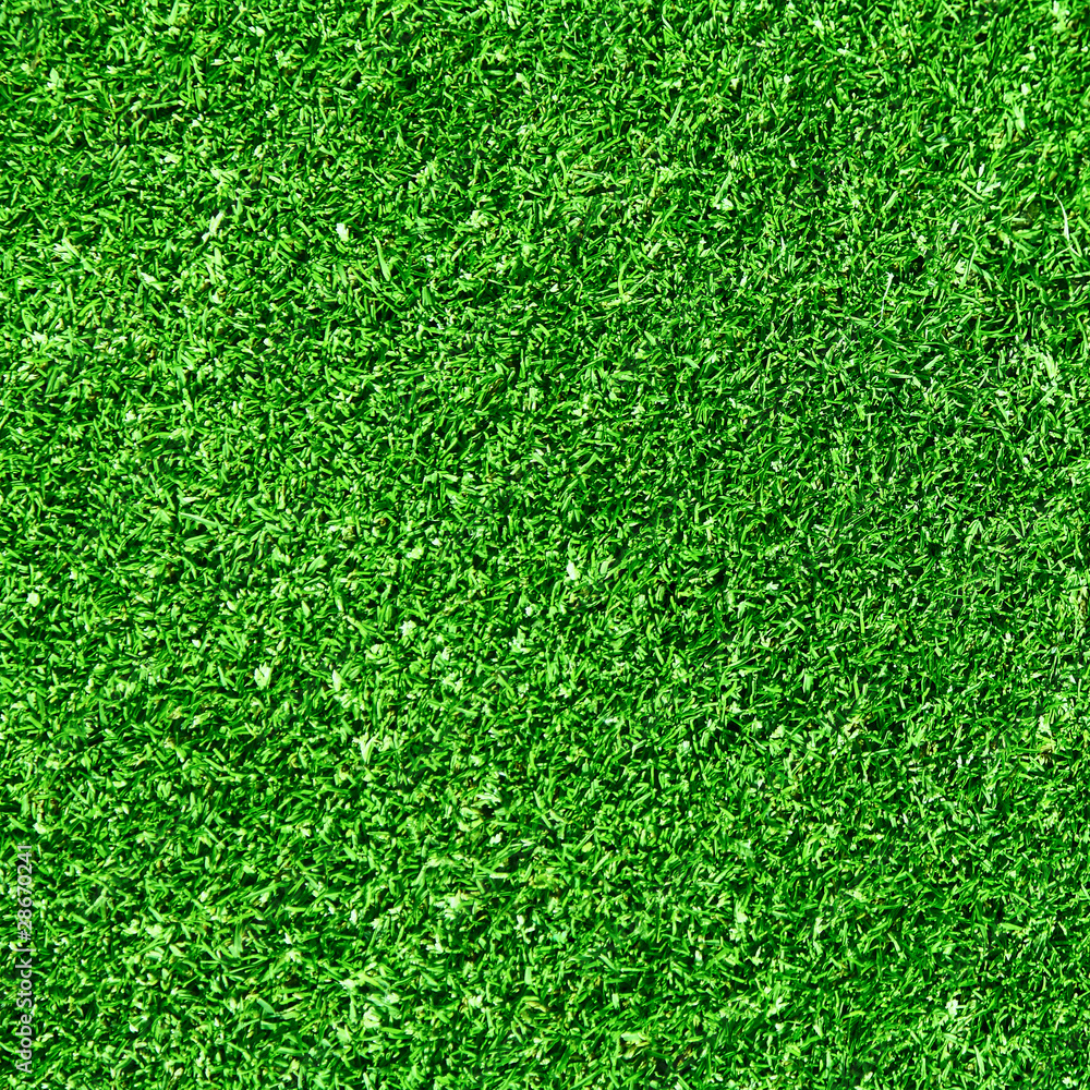 Fototapeta premium Green grass background
