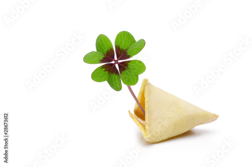 Glückskeks mit Glücksklee