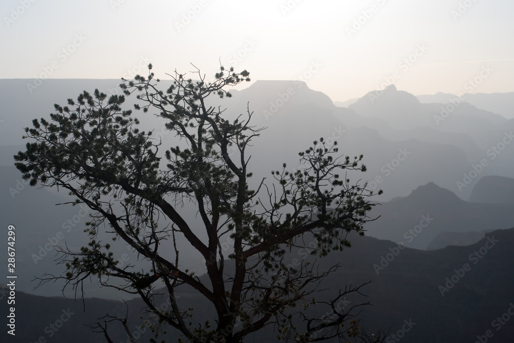 Grand Canyon National Park, USA..