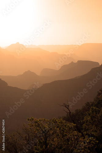 Grand Canyon National Park  USA..