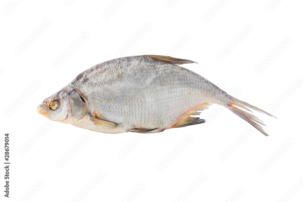 Big dried common bream on a white background. Big dried common bream on a white background.