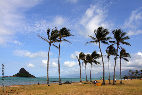 Mokoli'i, O'ahu, Hawaii.