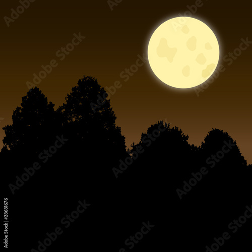 Twilight