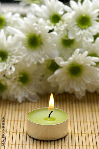 Chrysanthemums flowers and candle on bamboo