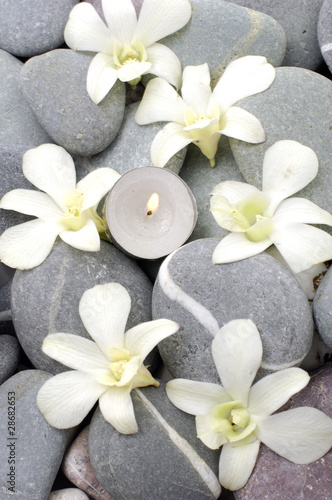 Spa setting with beautiful white flowers, pebbles and candle