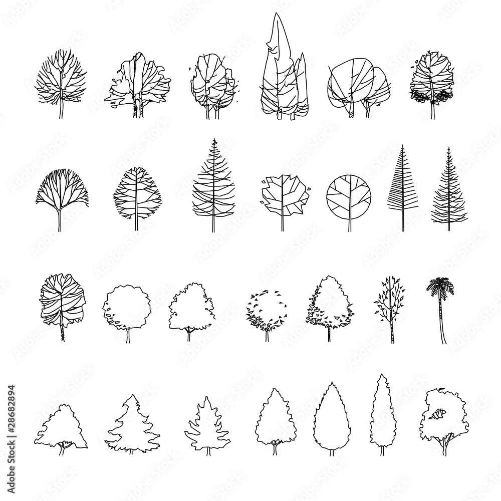 Naklejka premium tree graphics vector
