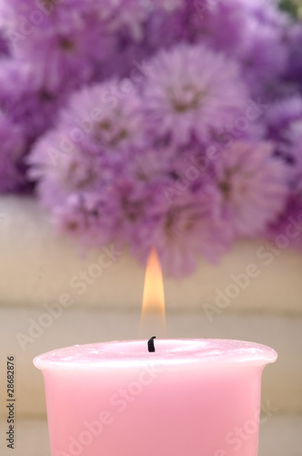 pink gerbera daisies and candle